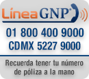 lineagnpprueba